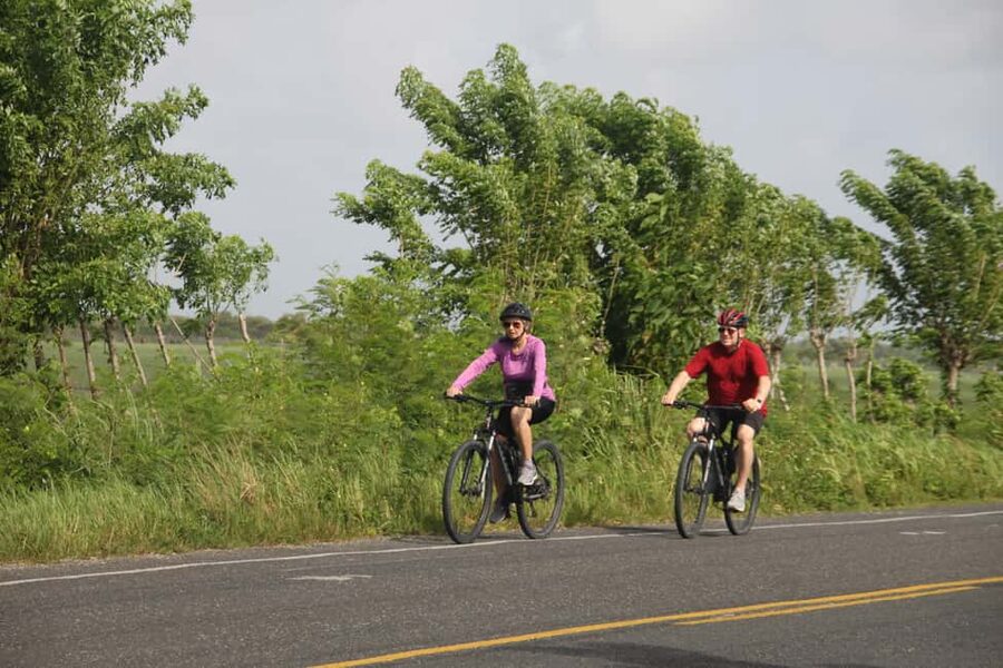 Punta Cana E-bike tour: Macao, El Salado, Ceiba, El Caño - Why this ride reaches beyond Punta Cana’s resort strip