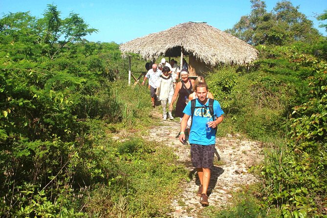 Punta Cana: Eco Jungle Tour - Padre Nuestro trail puts nature first