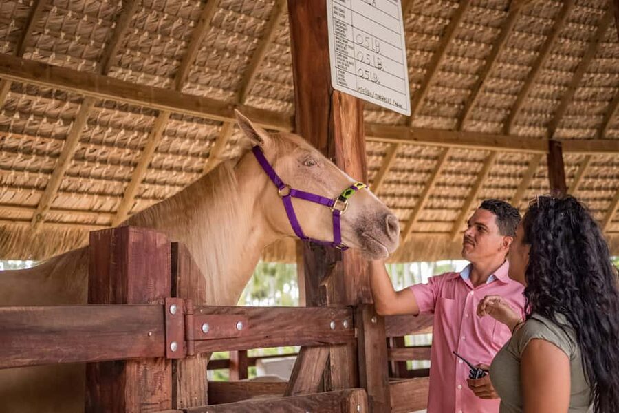 Punta Cana: Eco Park Safari Adventure - A farm-focused safari, not a big-game expedition