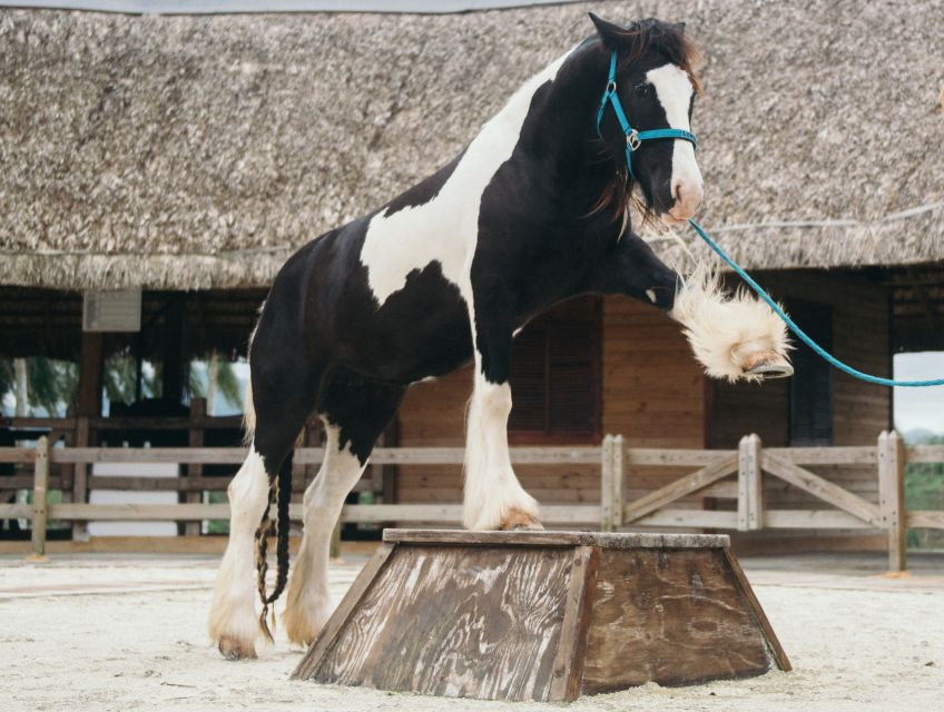 Punta Cana: Eco Park Safari Adventure - Is $90 a fair price?