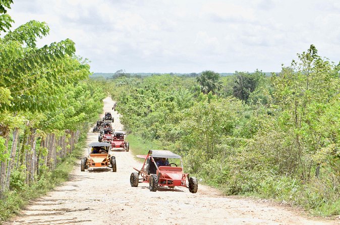 Punta Cana: Ecological Adventure in Buggies from Santo Domingo - Macao Beach as the final reward