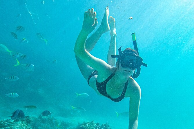Punta Cana Exclusive Adults-Only Snorkel with Food and Drinks - First water stop: Cabeza de Toro’s coral nursery