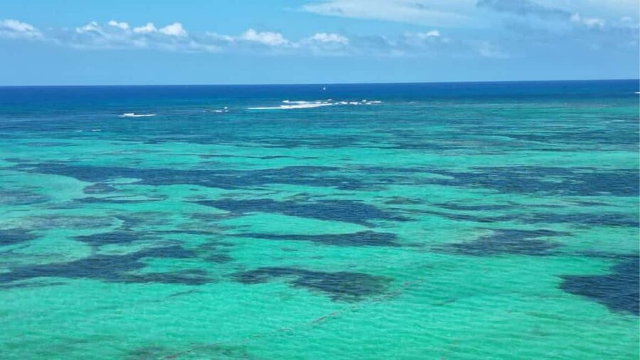 Punta Cana: Exclusive Private Catamaran Tour to Saona Island – VIP Service - Drinks, music, and the long ride back