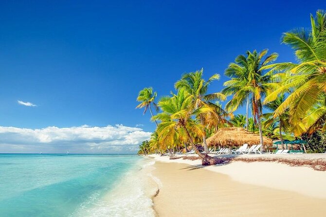 Punta Cana:Exclusive Private Tours for Groups of Up to 7 People - Lunch with a fusion menu and open bar