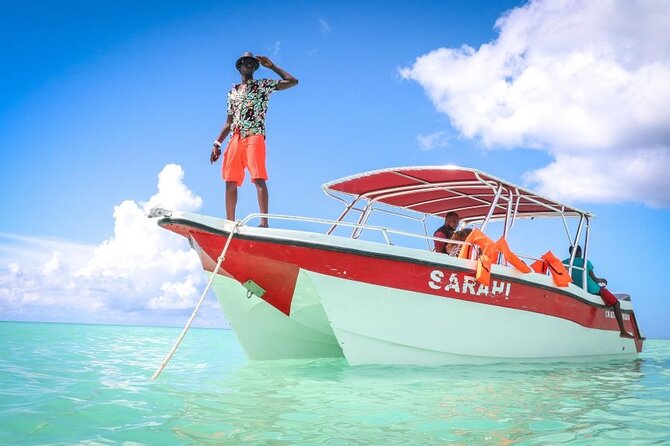 Punta Cana:Exclusive Private Tours for Groups of Up to 7 People - Should you book this private Saona tour?