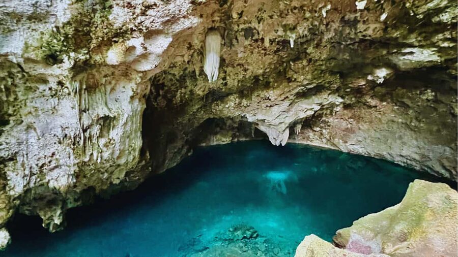 Punta Cana: Experience the essence of Santo Domingo with lunch and the Colonial Zone - Alcázar de Colón and the city’s major monuments