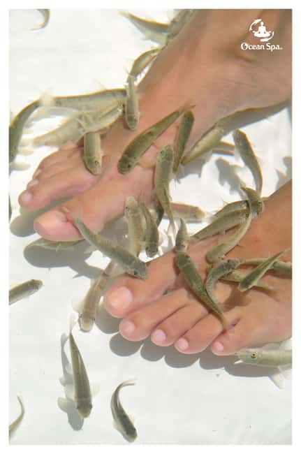 Punta Cana Floating Ocean Spa Experience with Massage & Yoga - The ionization treatment and what it really means