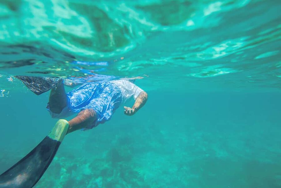 Punta Cana: Full Day Boat Trip to Catalina Island with Lunch - Snorkeling at the Catalina Wall