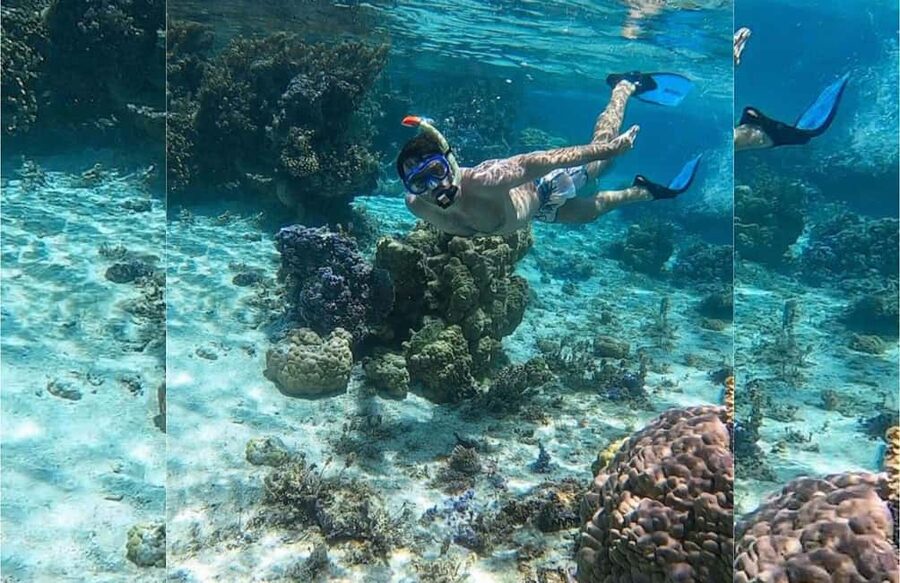 Punta Cana: Full-day Snorkelling Tour in Catalina Island - Crossing to Catalina Island by boat