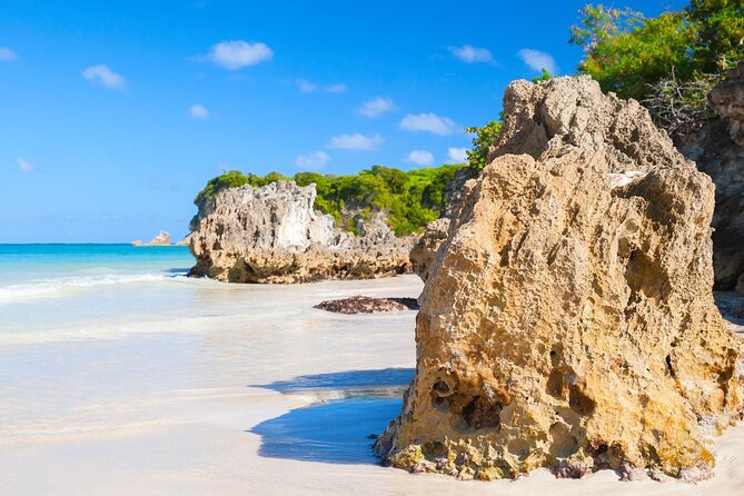 Punta Cana Guided Buggy Adventure Tour - A $45 ride beyond the resort roads