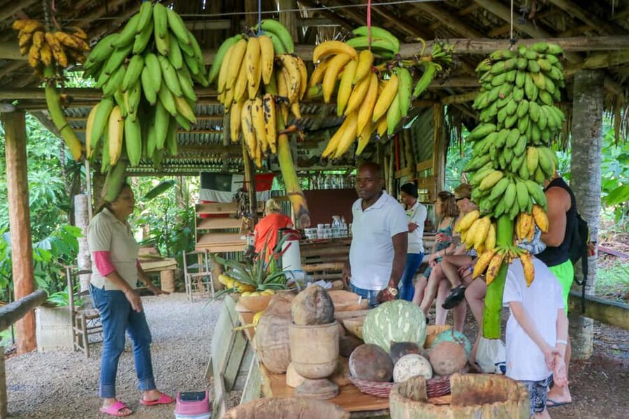 Punta Cana: Haitises, Cano Hondo, Redonda Mountain Day Trip - Walking through limestone country