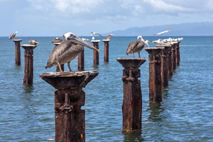 Punta Cana: Haitises, Cano Hondo, Redonda Mountain Day Trip - Is $139 a fair price?