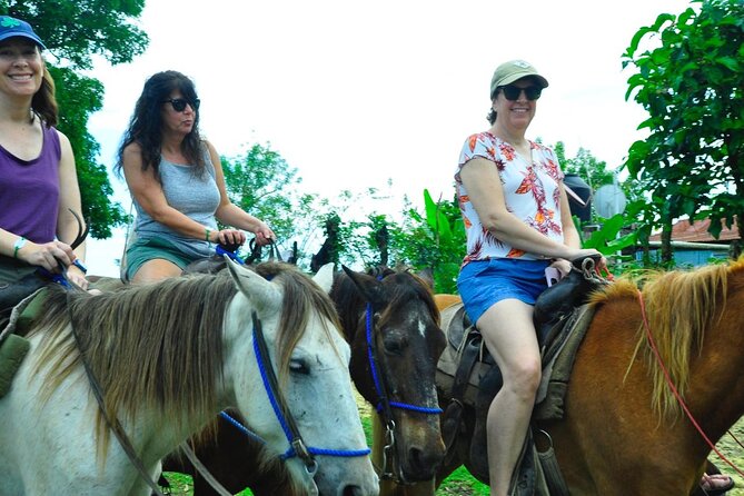 Punta Cana Half-Day Cultural Safari with Lunch and Drinks - Coffee, cocoa, fruit, and a river walk
