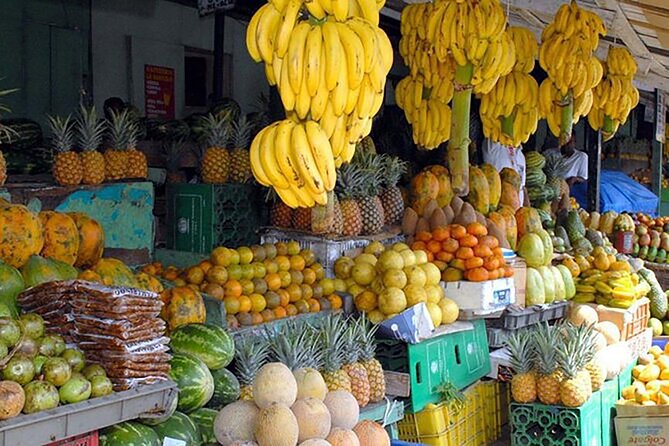 Punta Cana Half-Day Cultural Safari with Lunch and Drinks - The early pickup and ride into the countryside