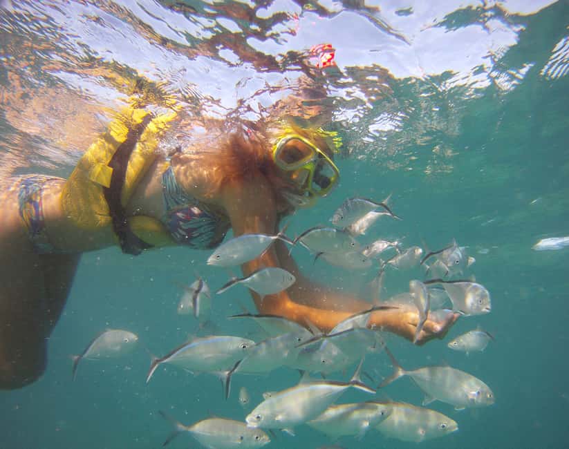 Punta Cana Happy Hour Sailing Cruise - A reef stop before the party starts