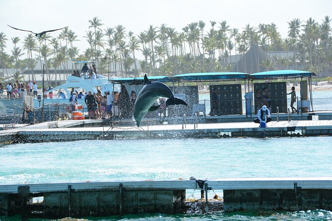 Punta Cana Hip Hop Party Boat with Snorkeling & Unlimited Drinks - Snorkeling, fish, and the natural water slide
