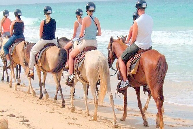 Punta Cana Horse Riding for Beaches in Field - Riding beside Macao Beach for two hours