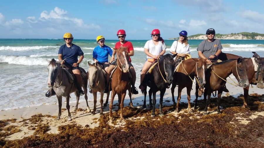 Punta Cana: Horseback Ride to Macao Beach - Key points at a glance