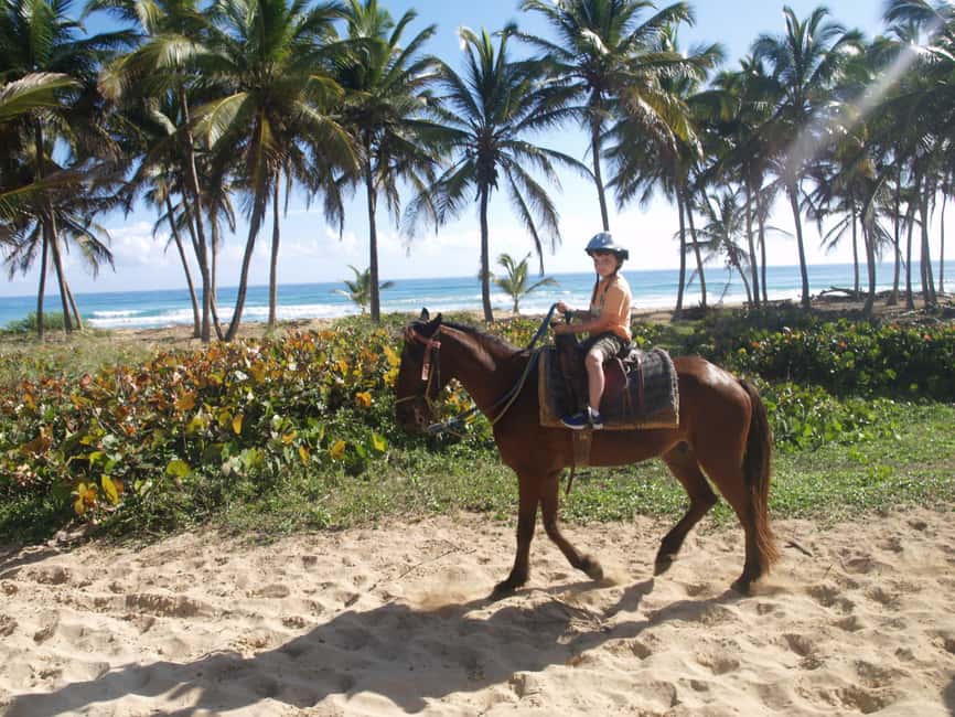 Punta Cana: Horseback Ride to Macao Beach - Riding through Punta Cana Forest