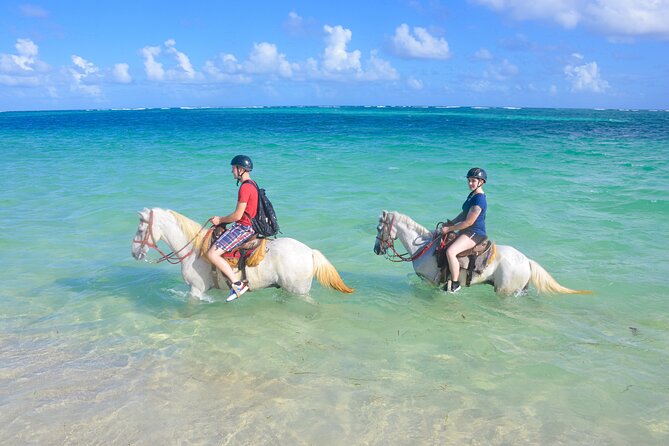 Punta Cana Horseback Riding Adventure - Key points to know before booking