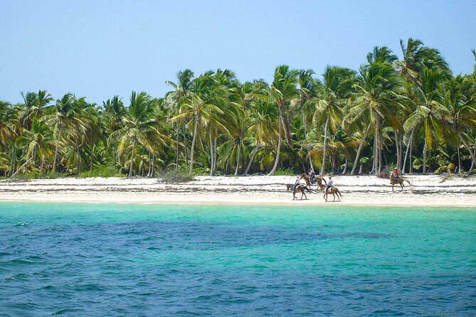 Punta Cana Horseback Riding Adventure - Arriving at the private beach