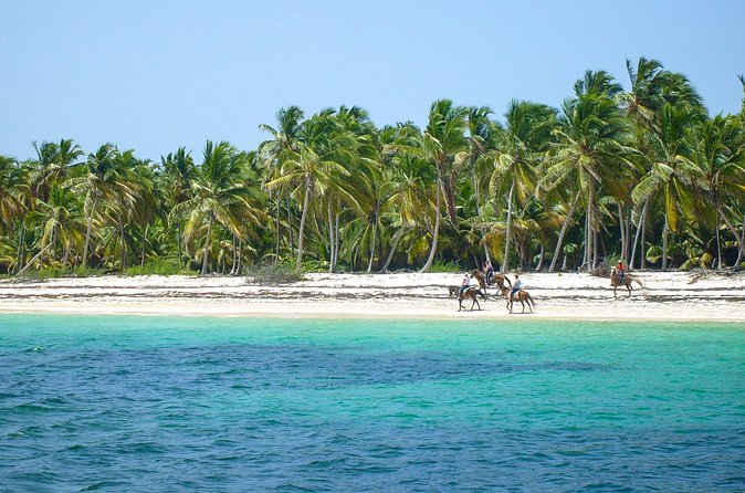 Punta Cana Horseback Riding Adventure - Safety, comfort, and group size