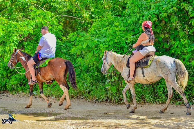 Punta Cana Horseback Riding Adventure on Macao Beach - Comfort, safety, and what to bring