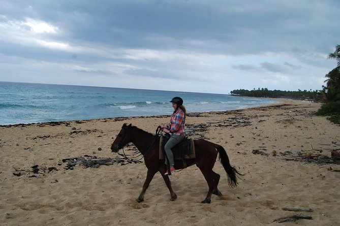 Punta Cana Horseback Riding on the Beach - Key points to know before you book