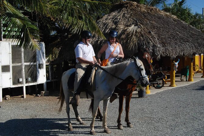 Punta Cana Horseback Riding on the Beach - Beach riding with surf, sun, and open views