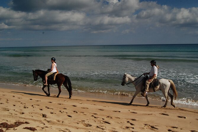 Punta Cana Horseback Riding on the Beach - Hotel pickup is useful, but build in extra time