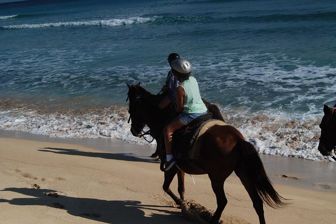 Punta Cana Horseback Riding on the Beach - Matching the ride to your ability