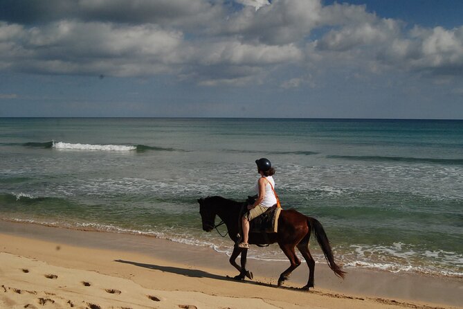 Punta Cana Horseback Riding on the Beach - The water option and what to pack
