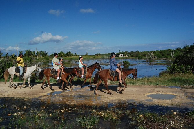 Punta Cana Horseback Riding on the Beach - Wildlife and the feel of a local outing