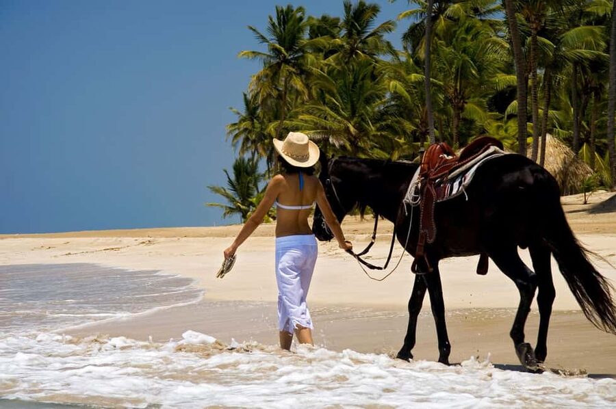 Punta Cana: Horseback Riding through Stunning Beaches - Key points at a glance