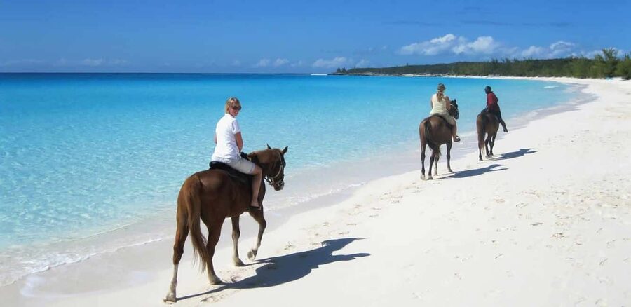 Punta Cana: Horseback Riding through Stunning Beaches - From the ranch to Punta Cana’s open shore