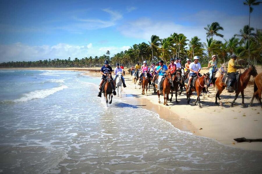Punta Cana: Horseback Riding through Stunning Beaches - What the forest and country-road section feels like