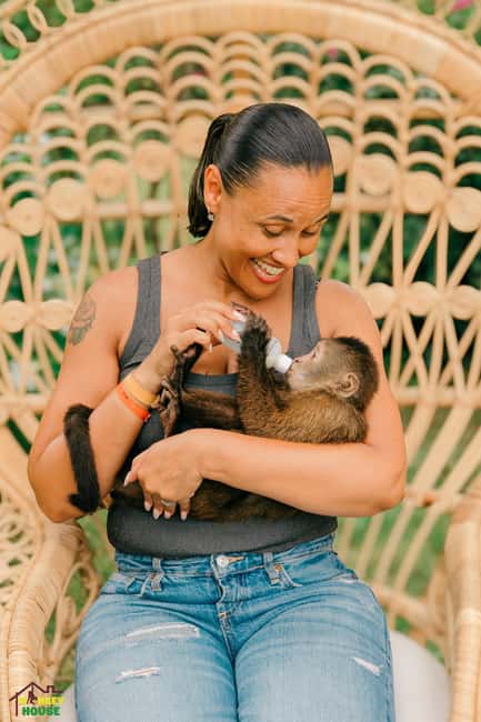 Punta Cana: Interactive Experience at Monkey House - Key points at a glance