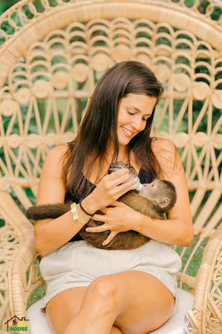 Punta Cana: Interactive Experience at Monkey House - Is $99 a fair price?