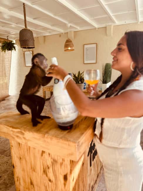 Punta Cana: Interactive Experience at Monkey House - Getting there without losing half the day