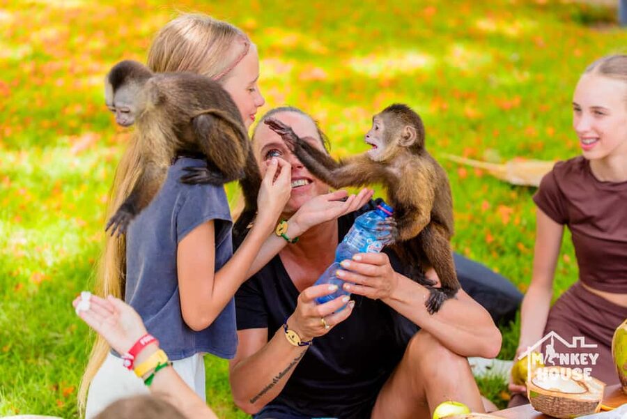Punta Cana: Interactive Experience at Monkey House - The baby-monkey feeding is the emotional highlight