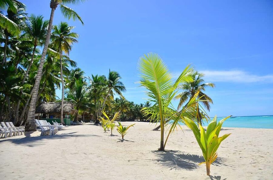 Punta cana: Island Escape to Saona • catamaran & Beach lunch - What this Saona day is really like