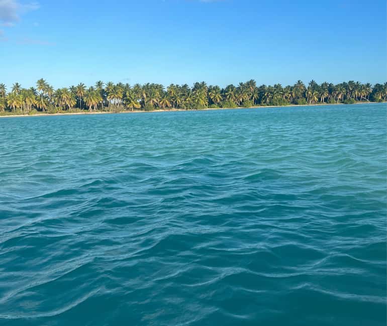 Punta cana: Island Escape to Saona • catamaran & Beach lunch - Lunch with local staples