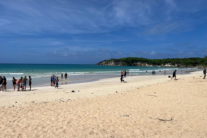 Punta Cana Jungle Buggy Tour: Macao Beach Visit and Cenote Swim - Macao Beach after the mud
