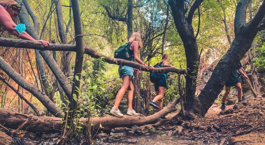 Punta Cana: Los Haitises Hike & Kayaking Mangroves - Caves and the park’s other natural side