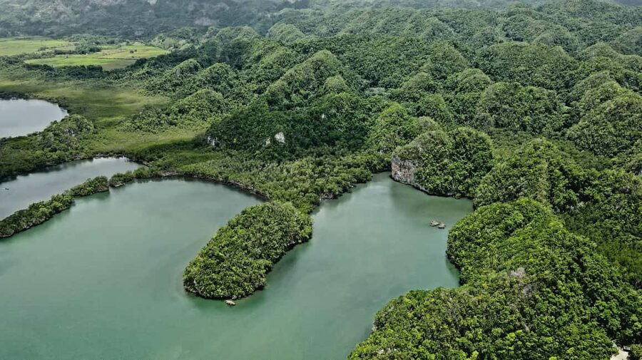 Punta Cana: Los Haitises Hike & Kayaking Mangroves - Lunch with local cuisine