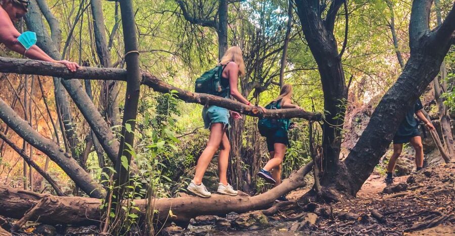 Punta Cana: Los Haitises Hike & Kayaking Mangroves - Should you book Los Haitises from Punta Cana?