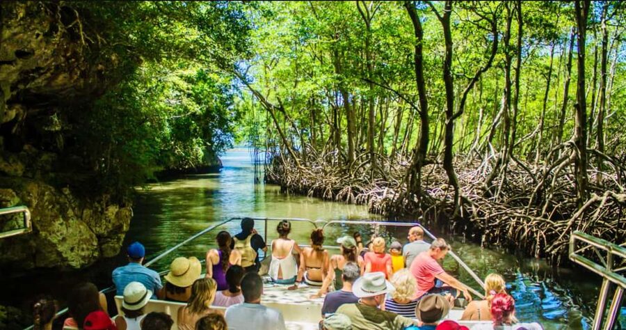 Punta Cana: Los Haitises National Park Full-Day Tour - Why Los Haitises is worth the long ride from Punta Cana