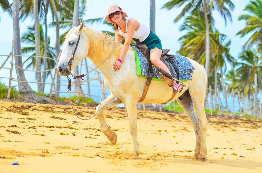 Punta Cana: Macao Beach & Forest Horseback Riding Tour - Meeting the horses and starting in the forest
