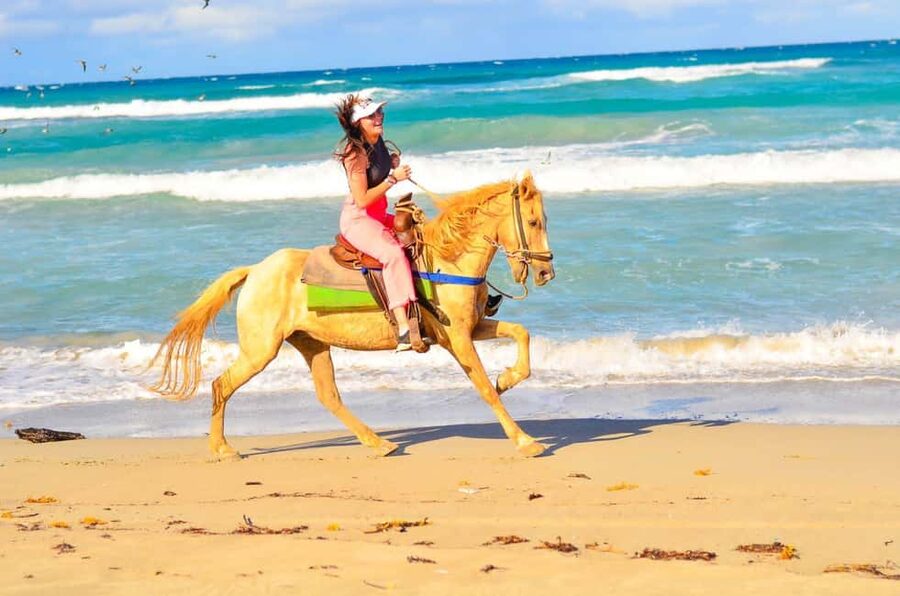 Punta Cana: Macao Beach & Forest Horseback Riding Tour - What the guides do well