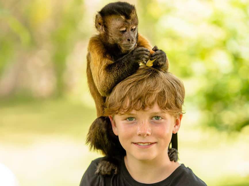 Punta Cana: Monkey Adventure by Jhoraji With Hotel Pick-Up - Bottle-feeding a baby monkey